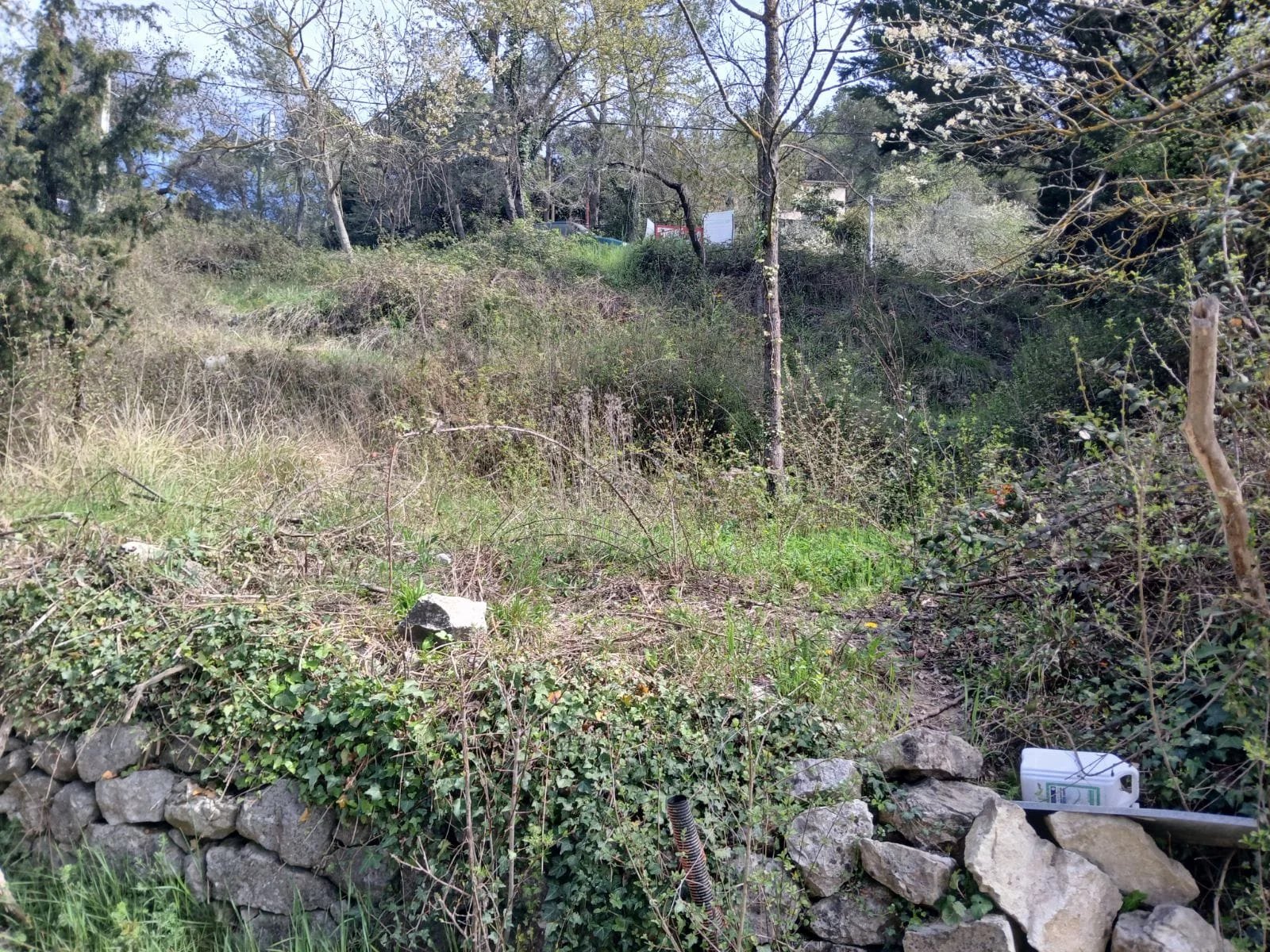 Agence immobilière de FC2