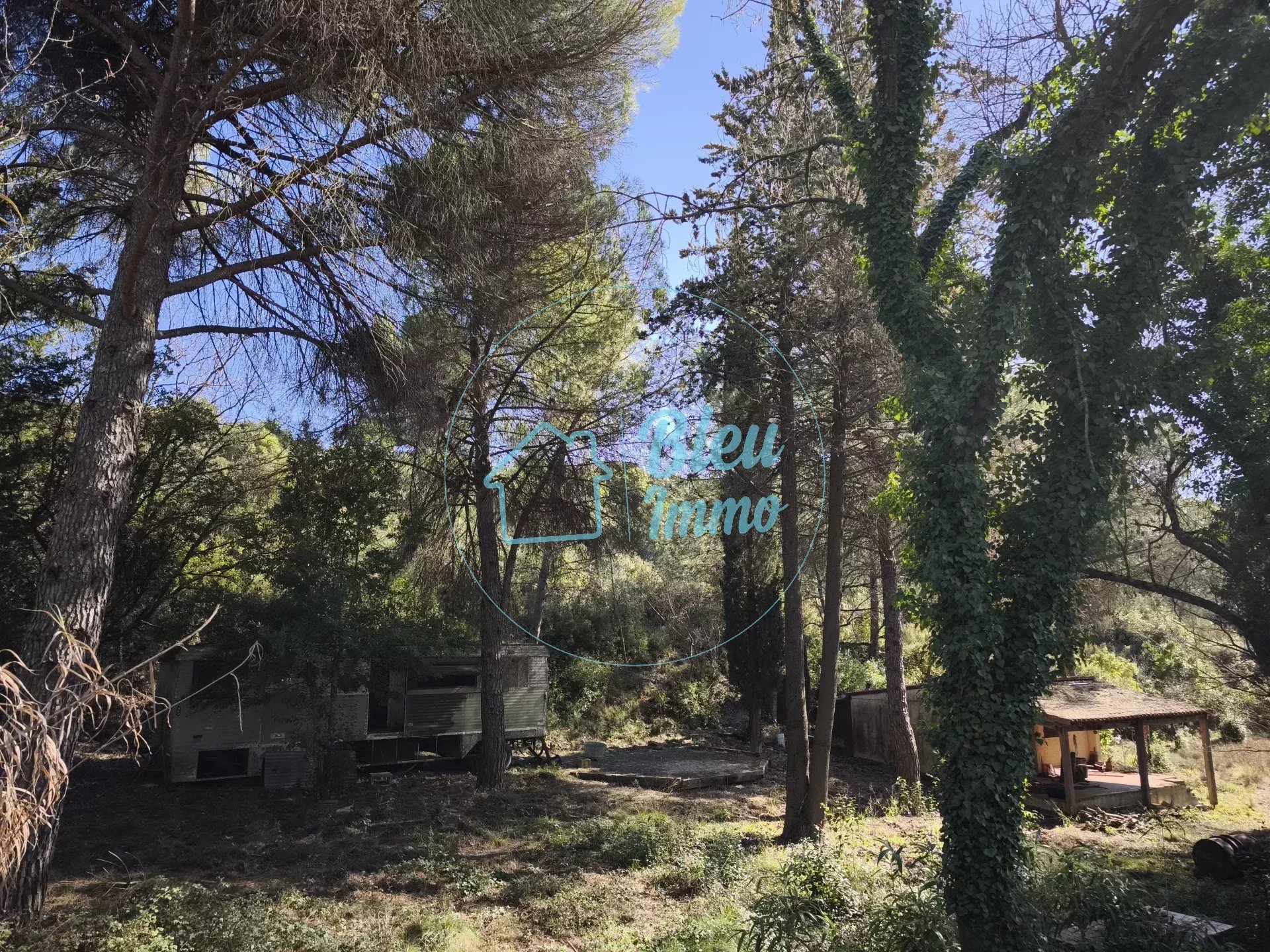 Agence immobilière de Bleu Immo