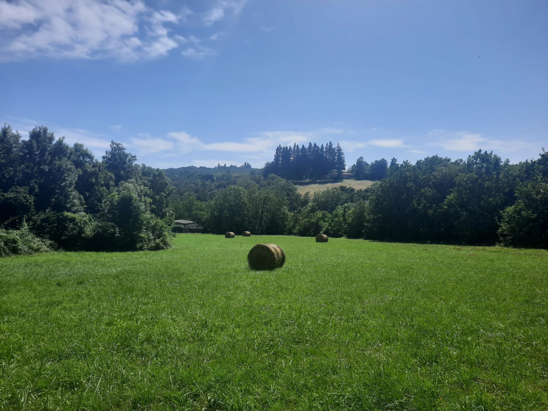 Vente Terrain Noailhac