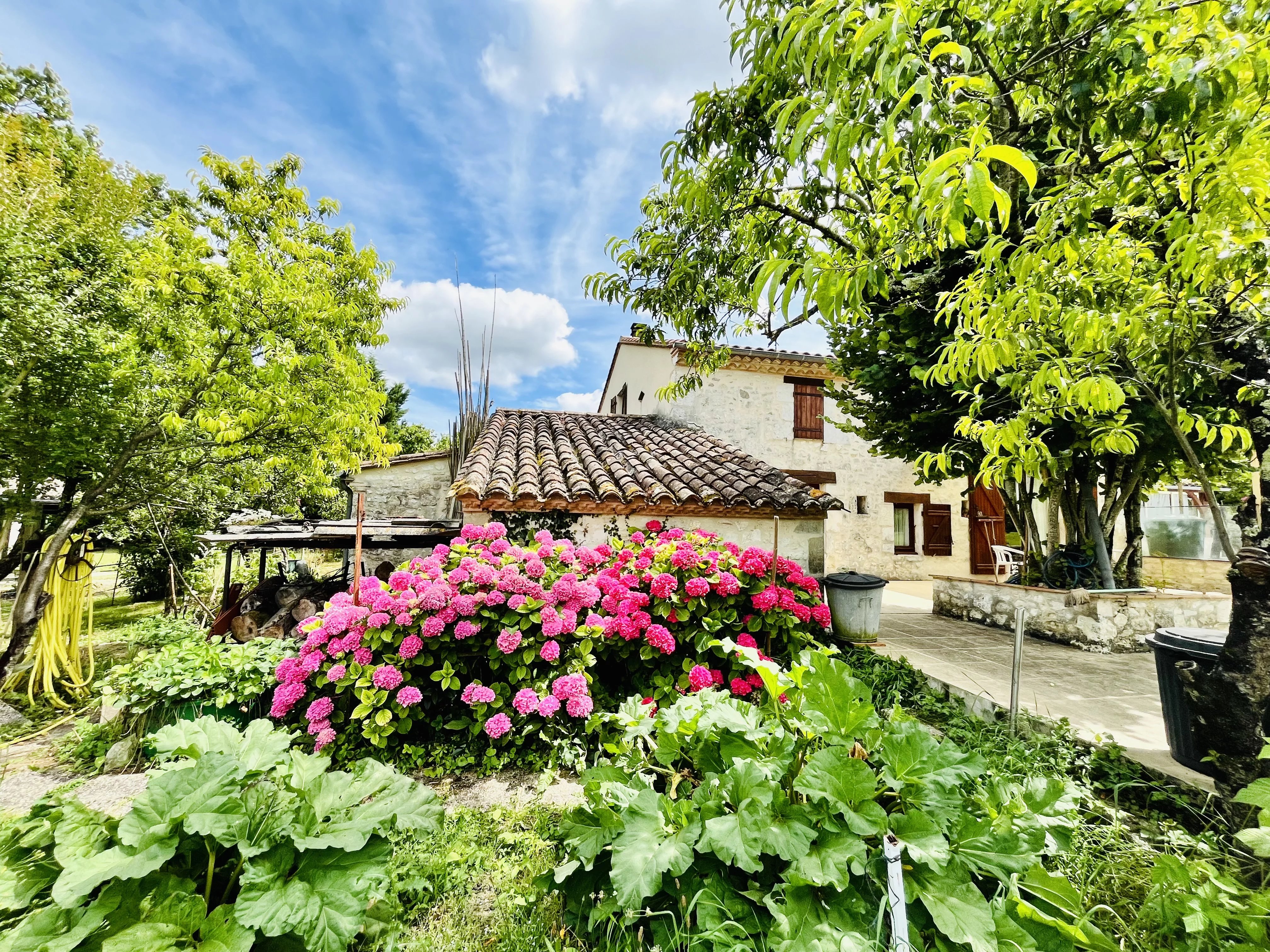 Charmante maison en pierre avec piscine et studio