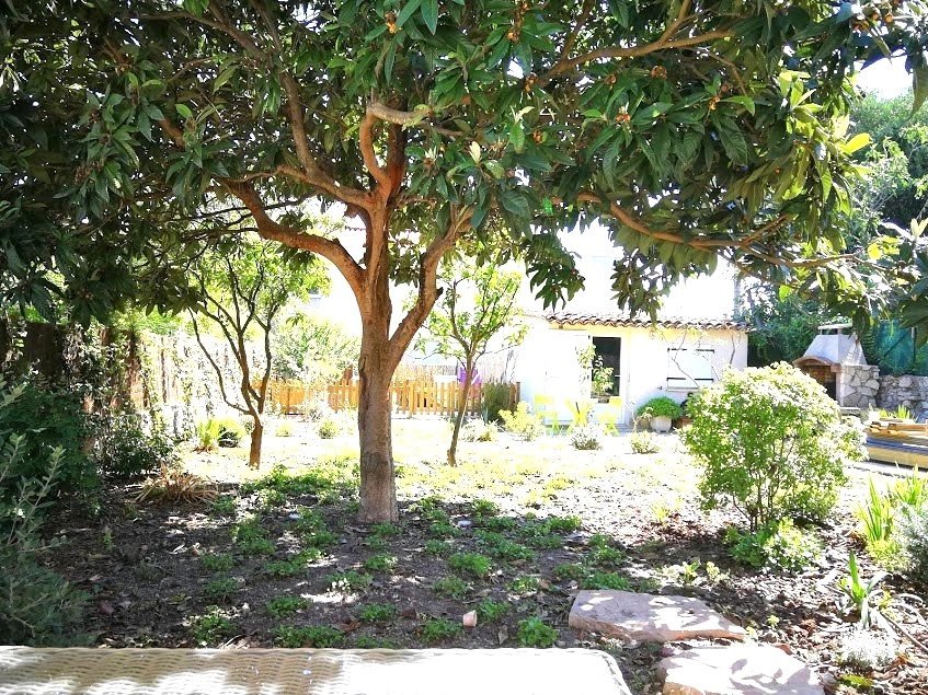 Rental Apartment Le Cannet