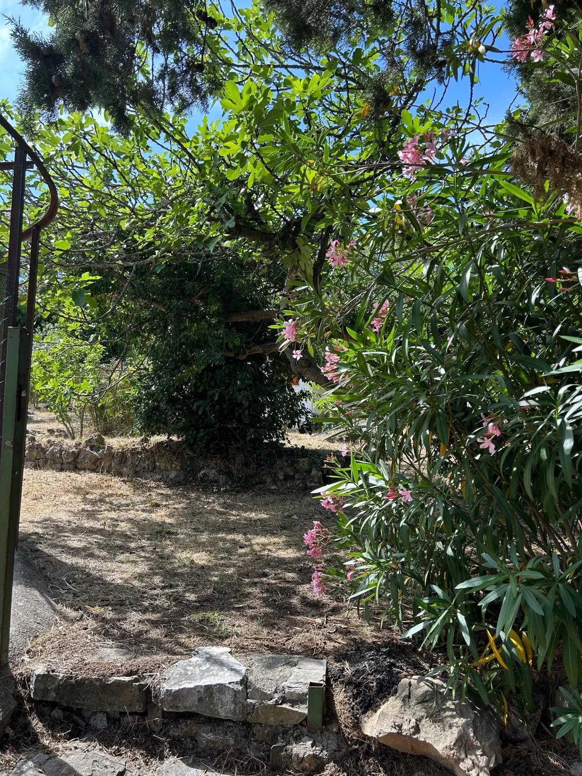 Plot with approved building permit within walking distance of the village of Valbonne. 16