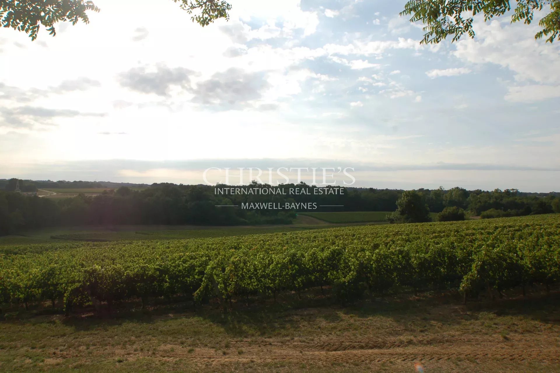 2 Bedroom Vineyard's Image 7
