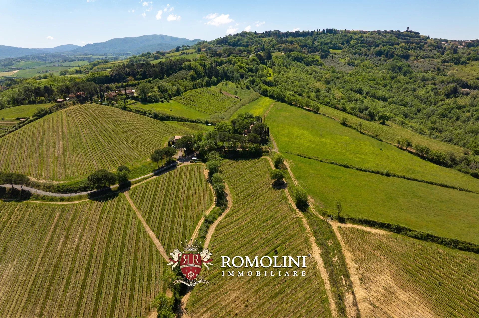 Montescudaio