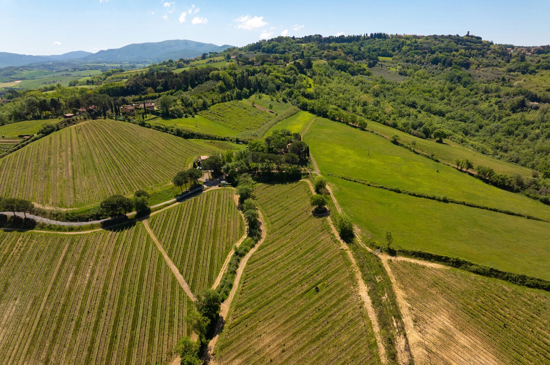  SPLENDIDA AZIENDA VITIVINICOLA DI 458 HA IN VENDITA SULLA COSTA TOSCANA