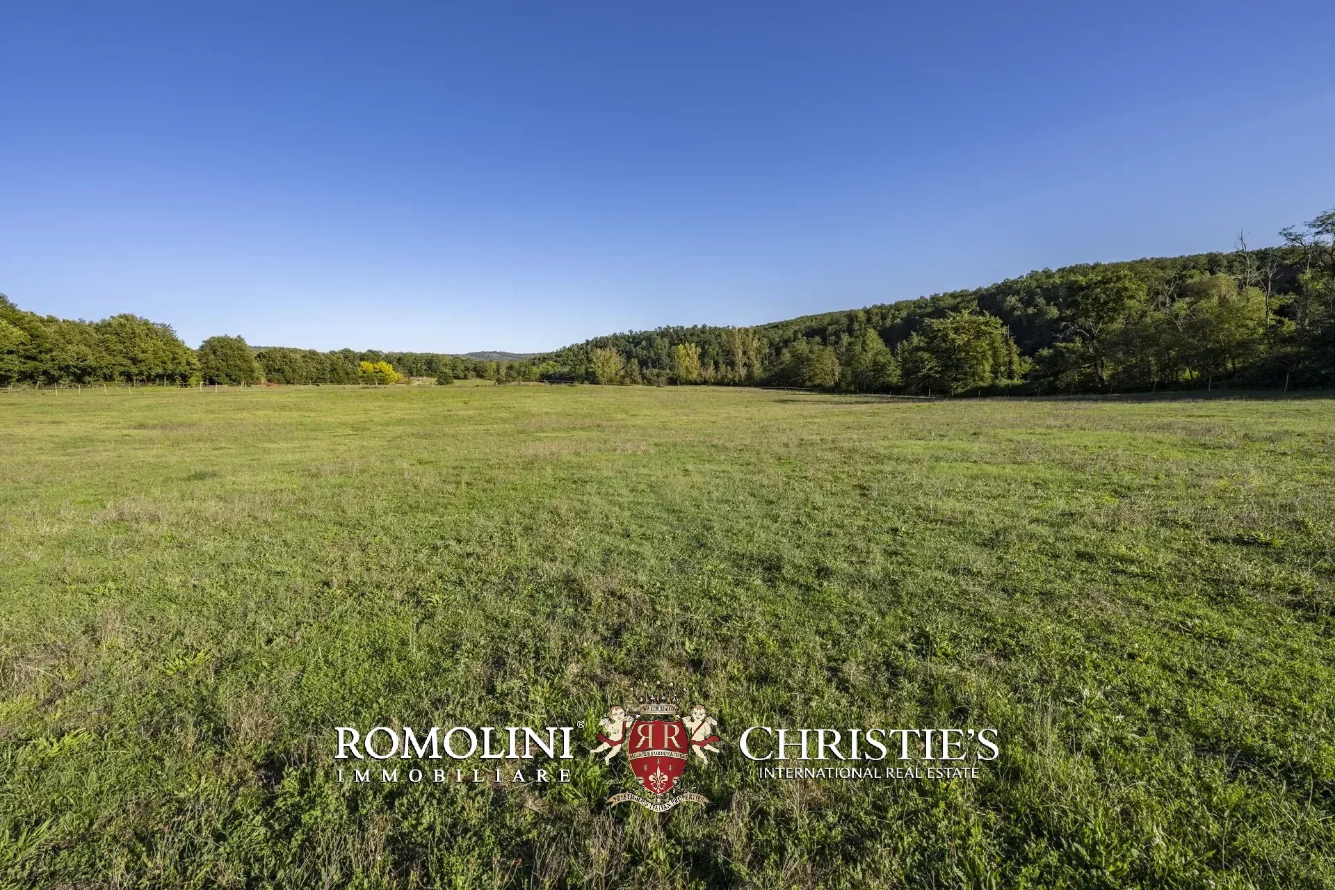 9 Bedroom Horse Property's Image 28