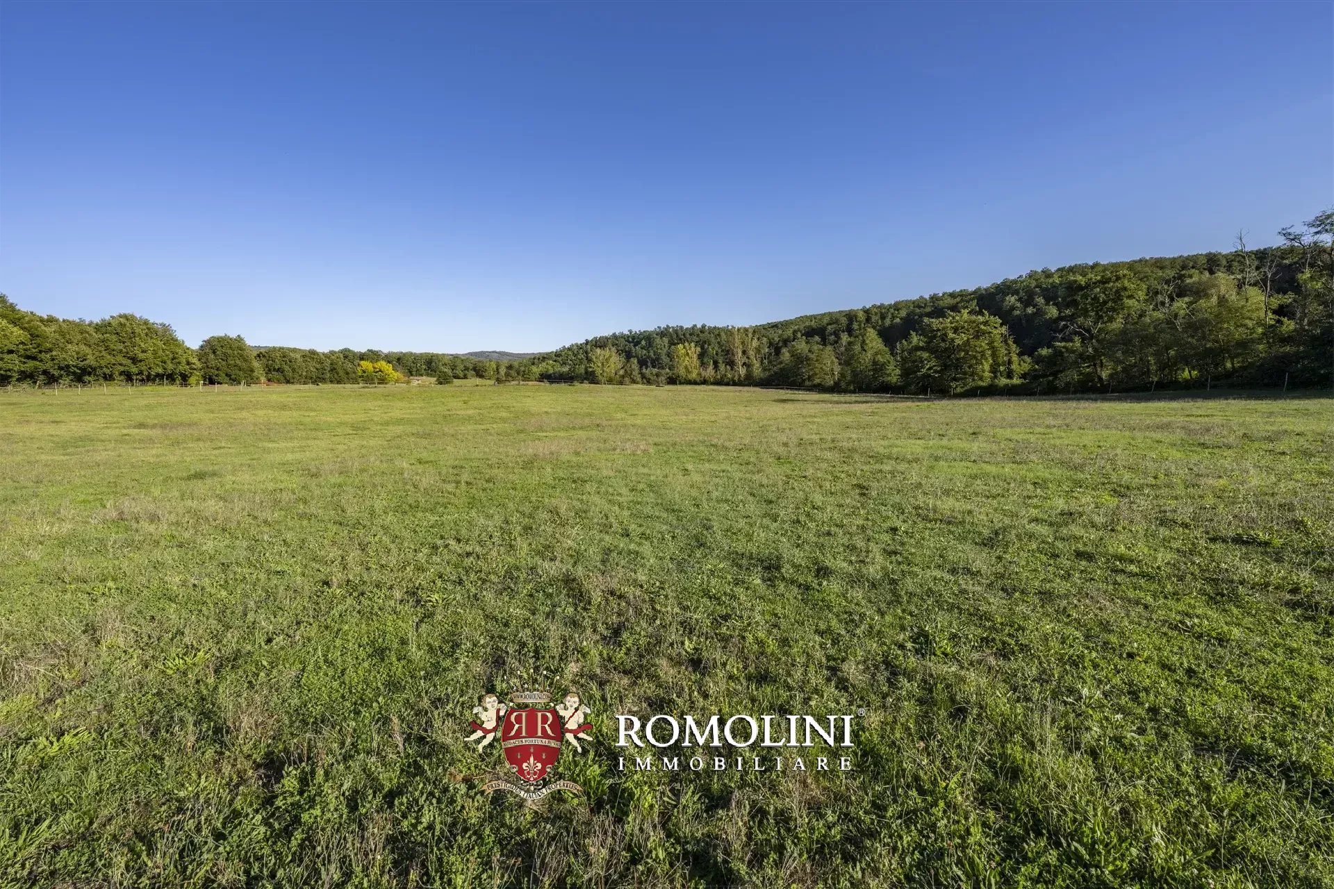 9 Bedroom Horse Property's Image 28