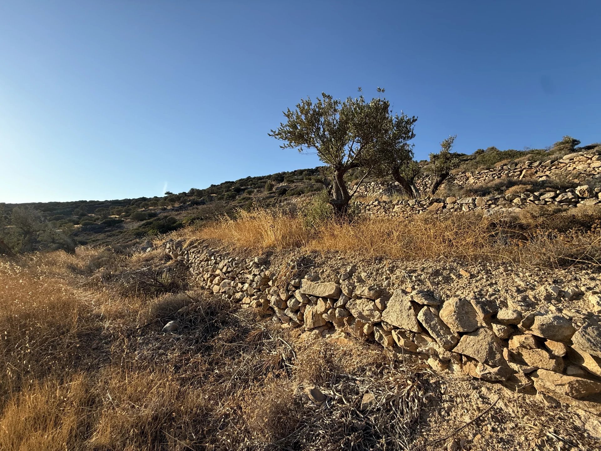 Εικόνα ιδιοκτησίας 13