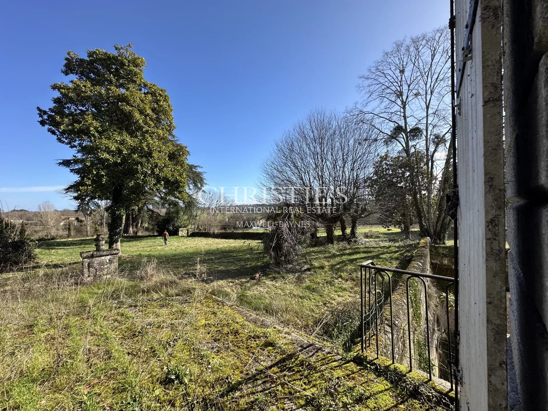 Vineyard's Image 7