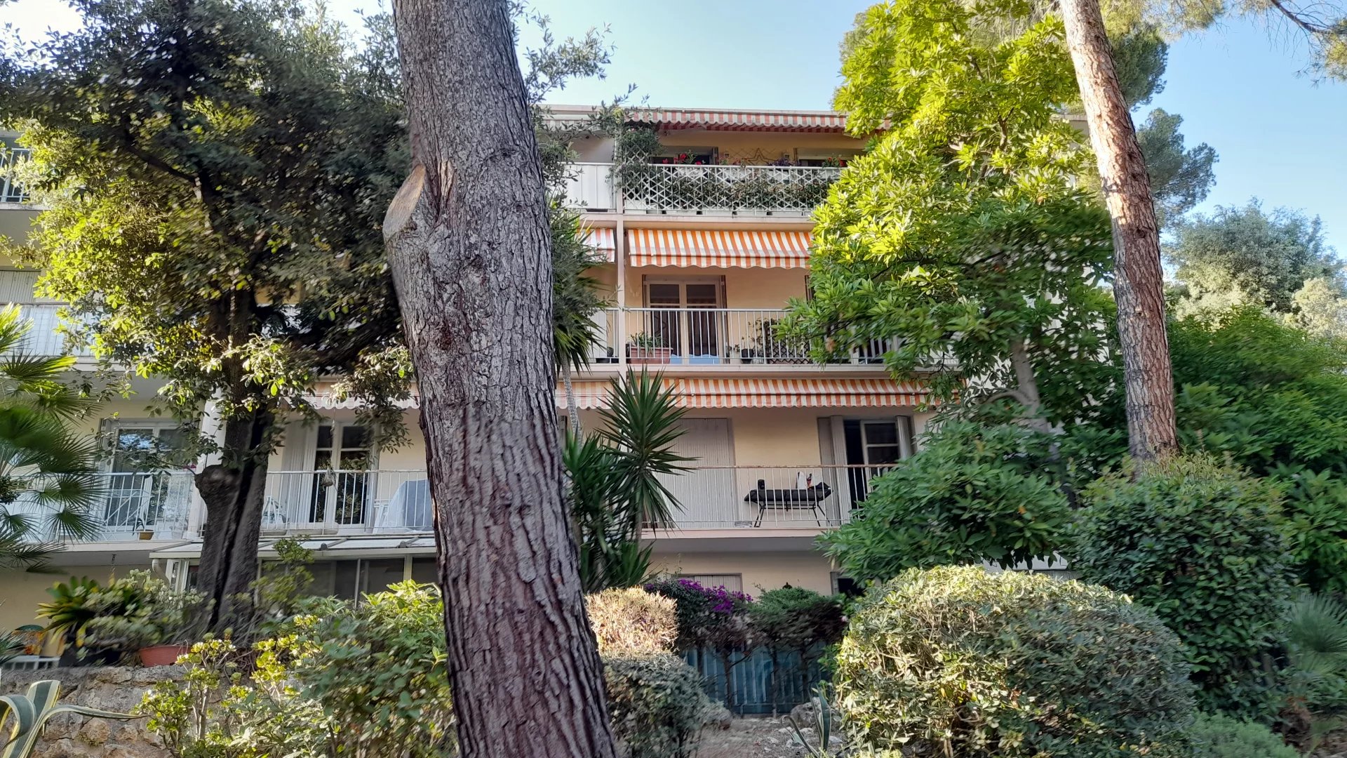 Agence immobilière de Infinity Group Immobilier