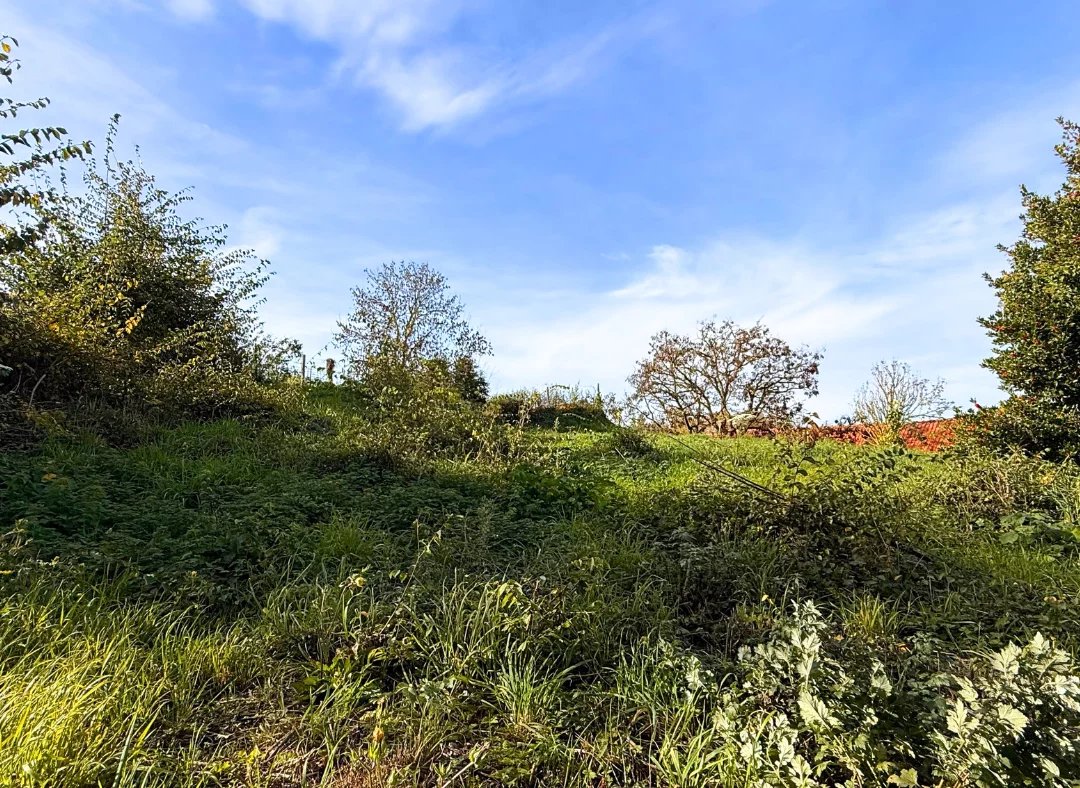 Agence immobilière de Nord Immo