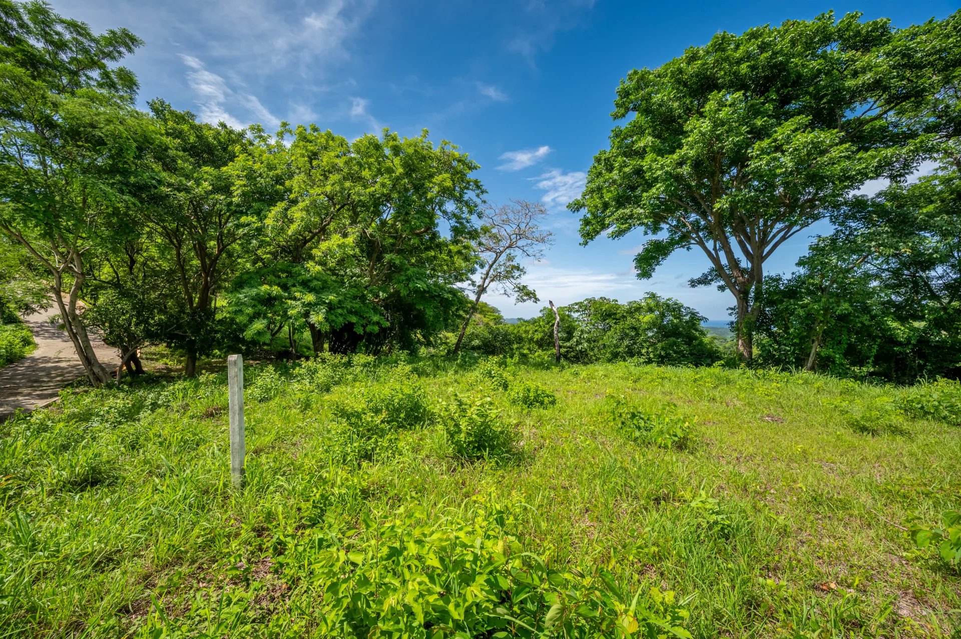 Venta Terreno Santa Cruz