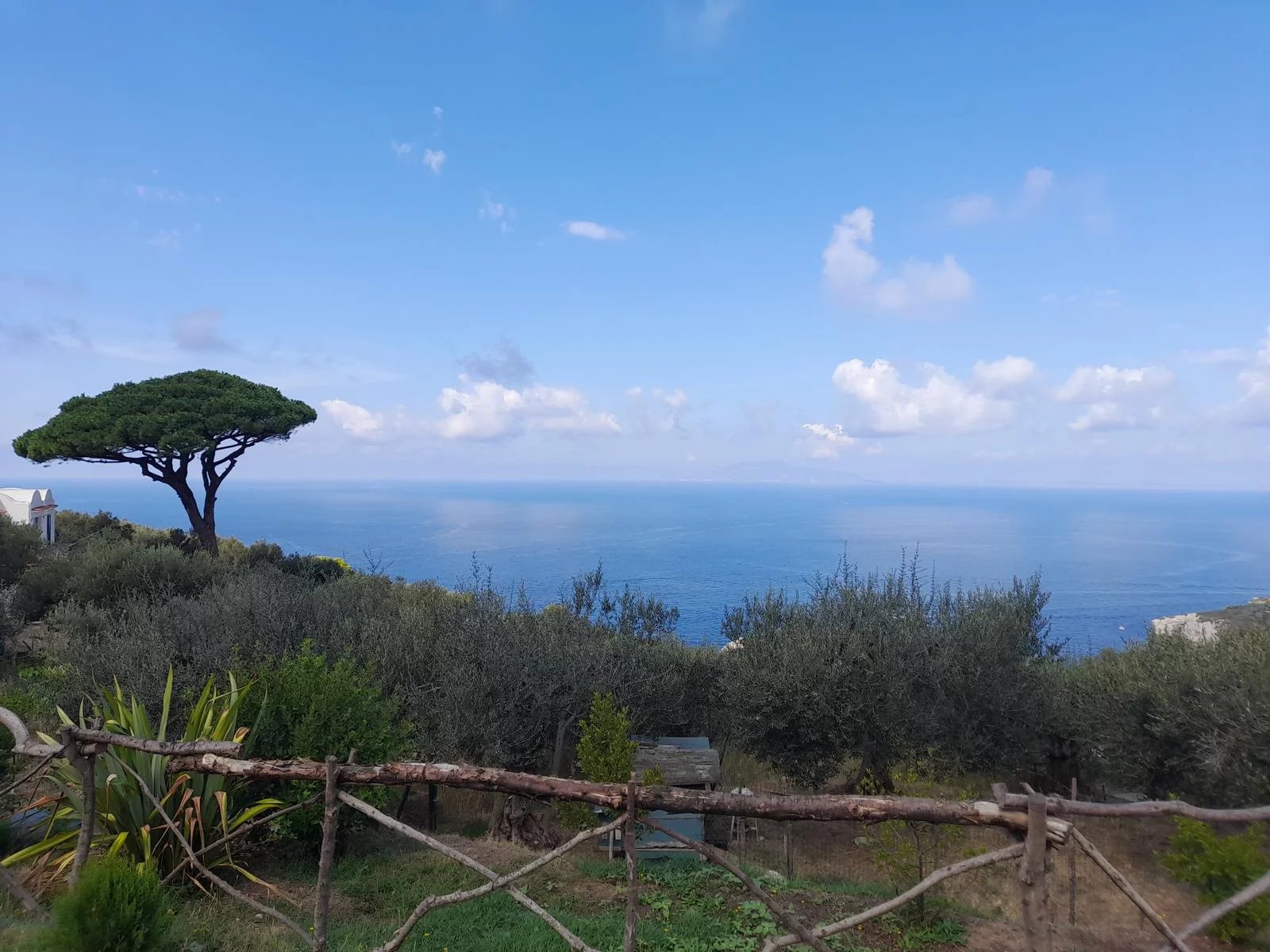 Casaletto à Anacapri - picture 11