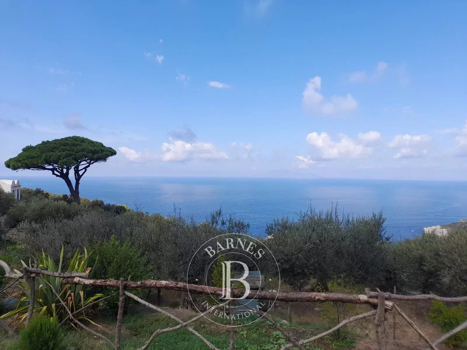 Casaletto in Anacapri - picture 11