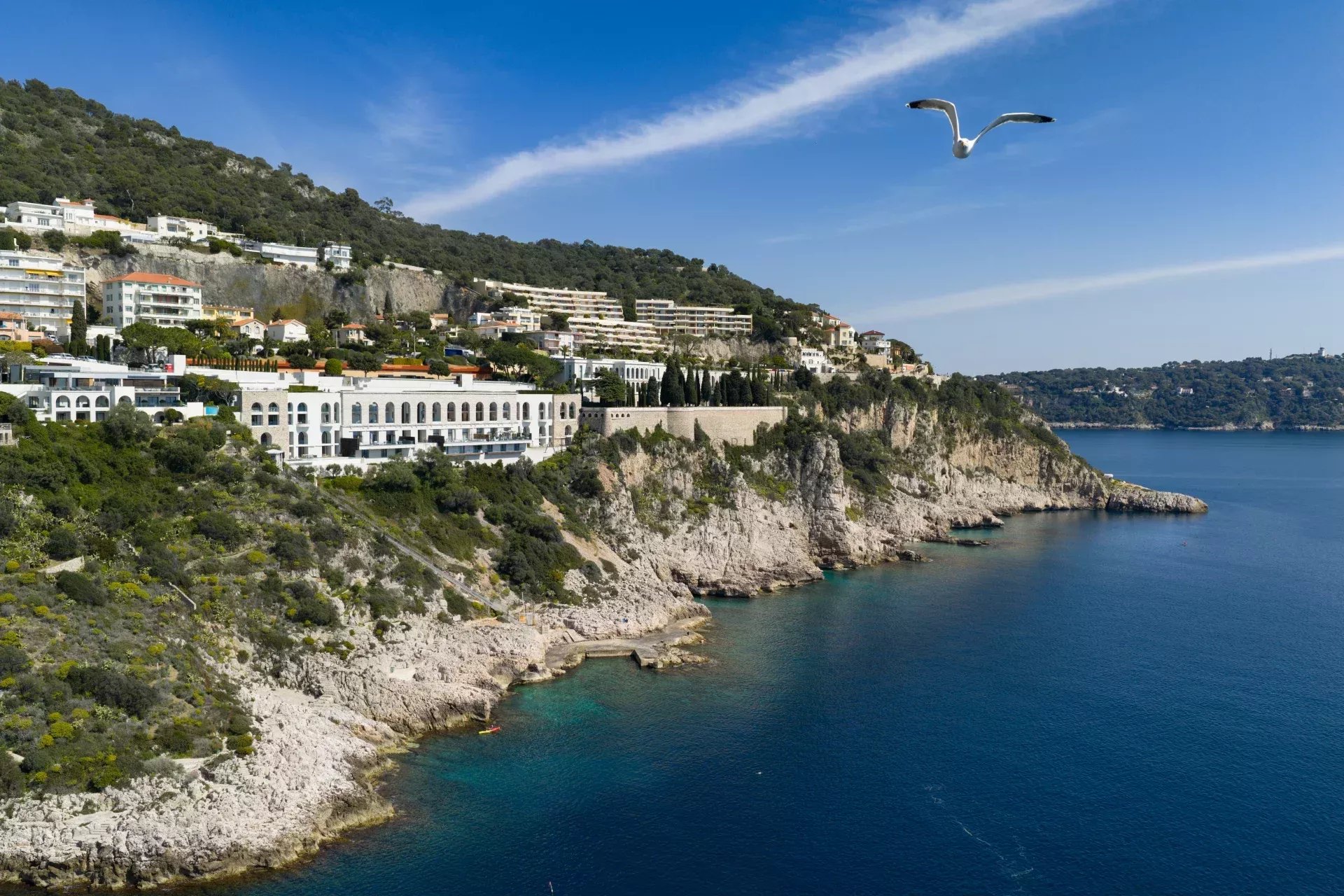 APPARTEMENT VILLA DE PRESTIGE - CAP DE NICE