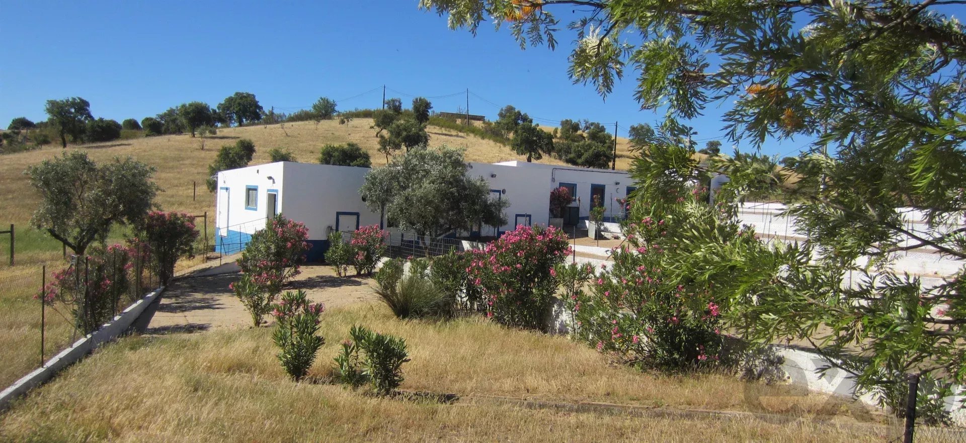Herdade Cativante in Alentejo: A Tourist Investment with Immeasurable Potential 🌿✨ 86362095 image 55