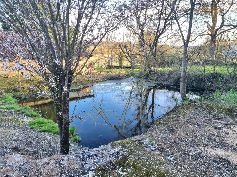 Ferme à vendre Seissan, Gers