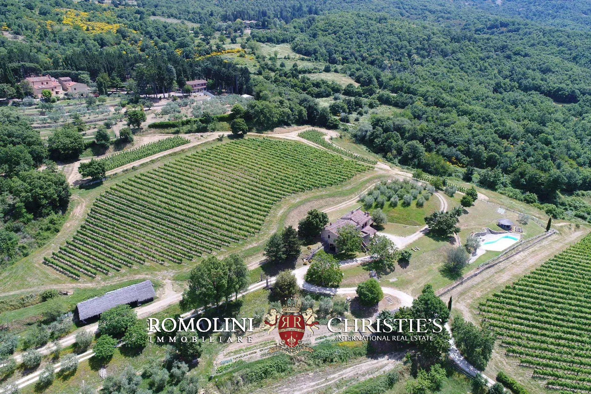 TENUTA VINICOLA BIOLOGICA IN VENDITA, CANTINA BIO TOSCANA
