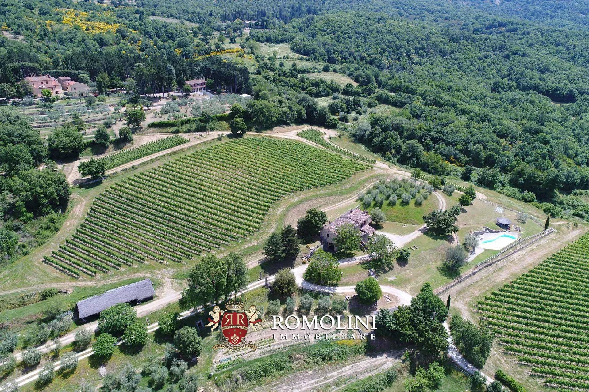 16 Bedroom Vineyard's Image 28