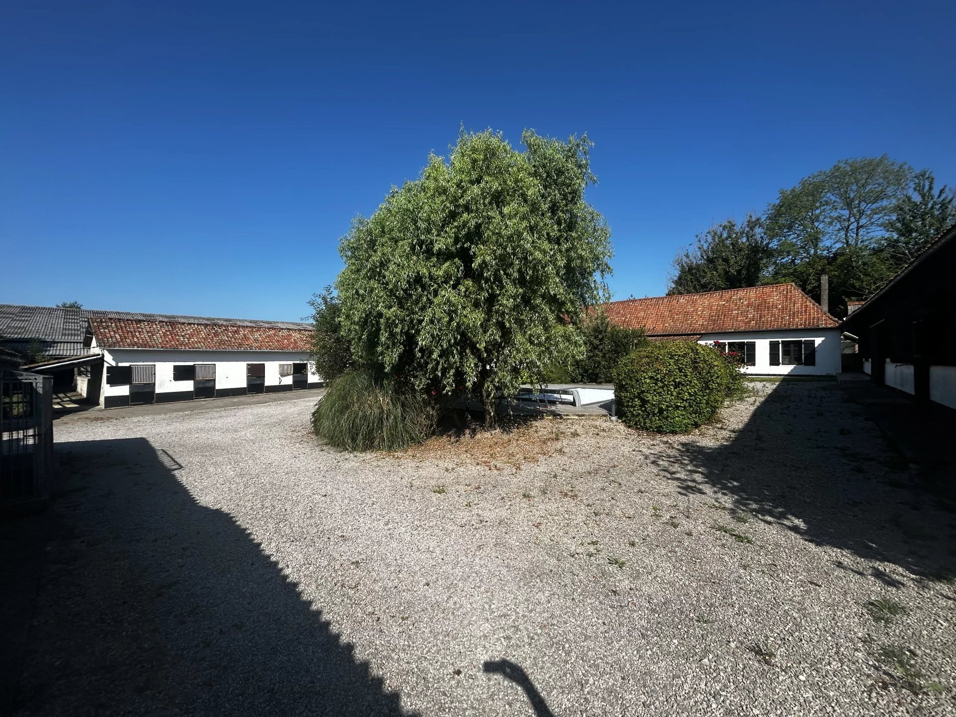 Vente Domaine équestre Bezinghem