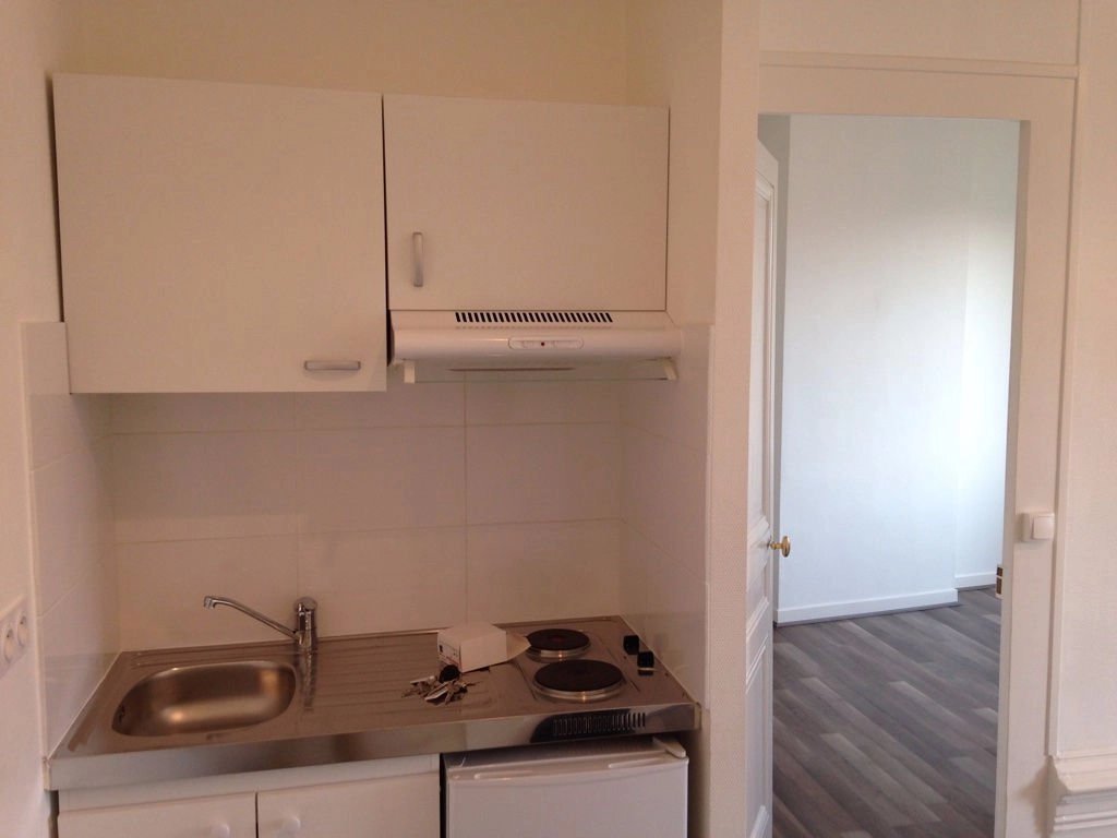 481090 Location Lyon 7ème