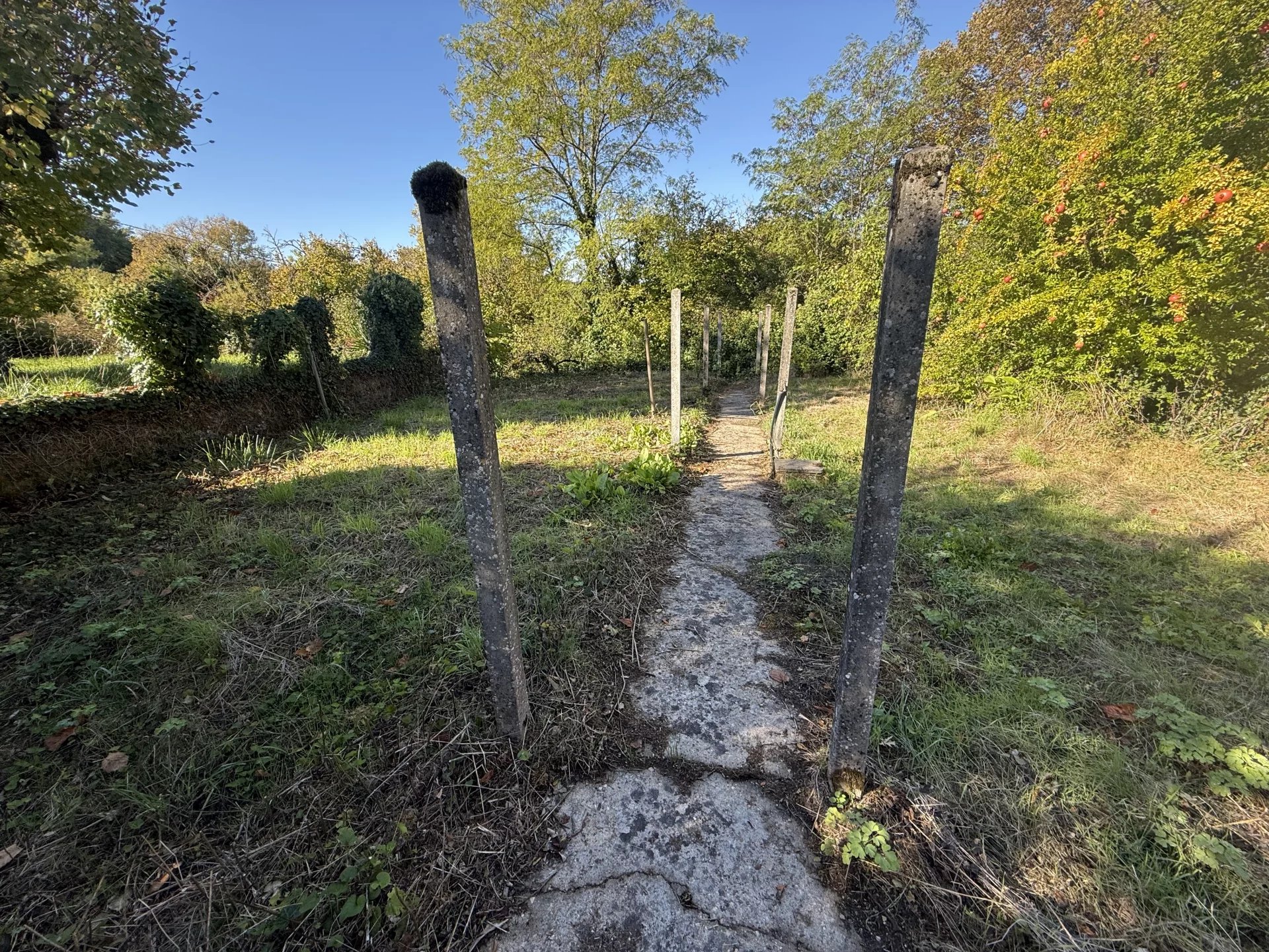 House in Tocane-Saint-Apre - Image 2