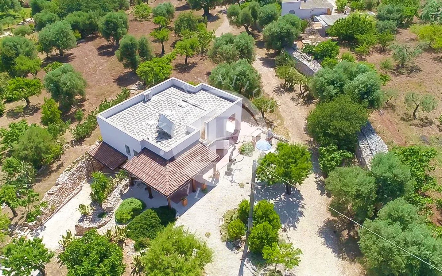 Villa in Monopoli - view 1