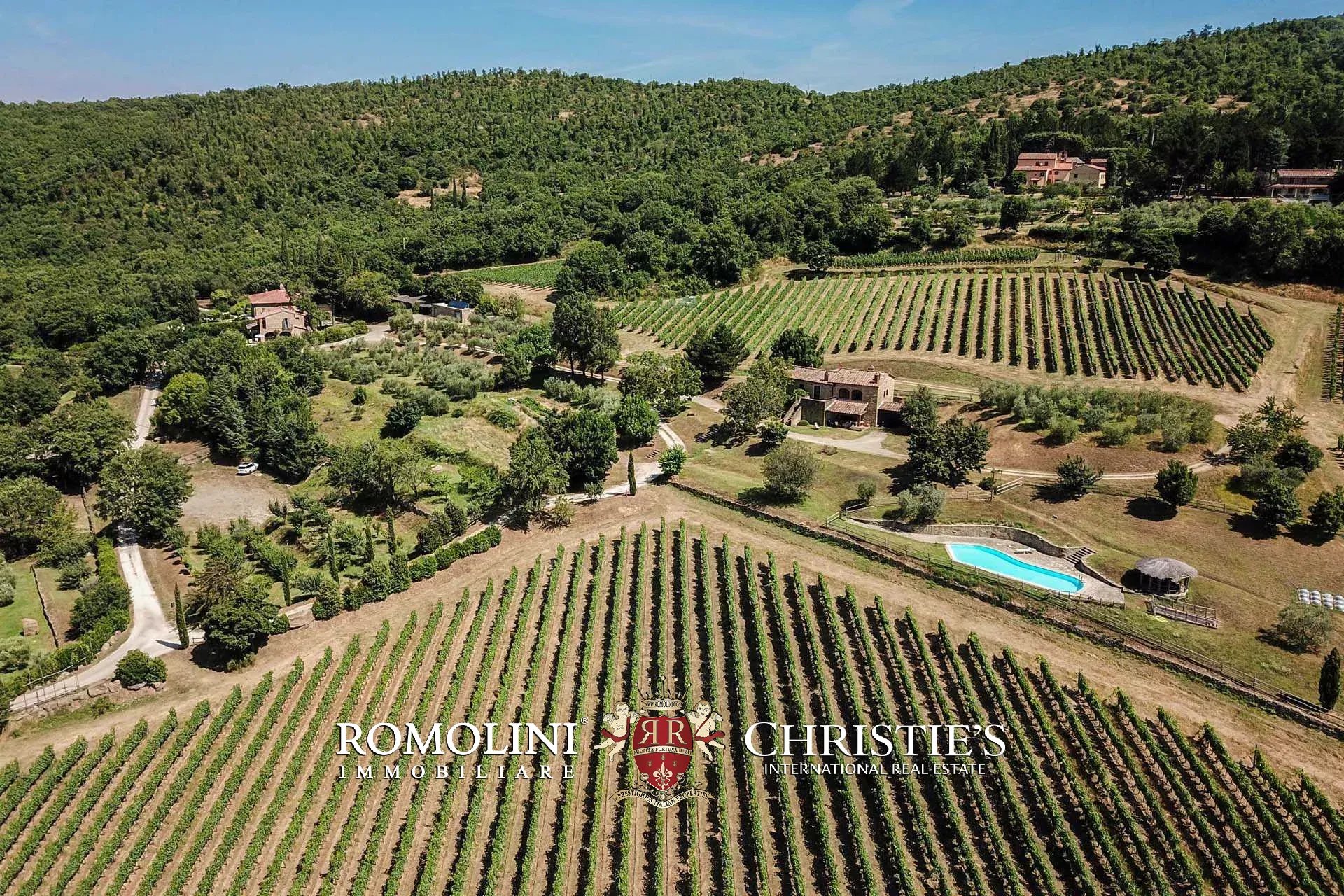 TENUTA VINICOLA BIOLOGICA IN VENDITA, CANTINA BIO TOSCANA