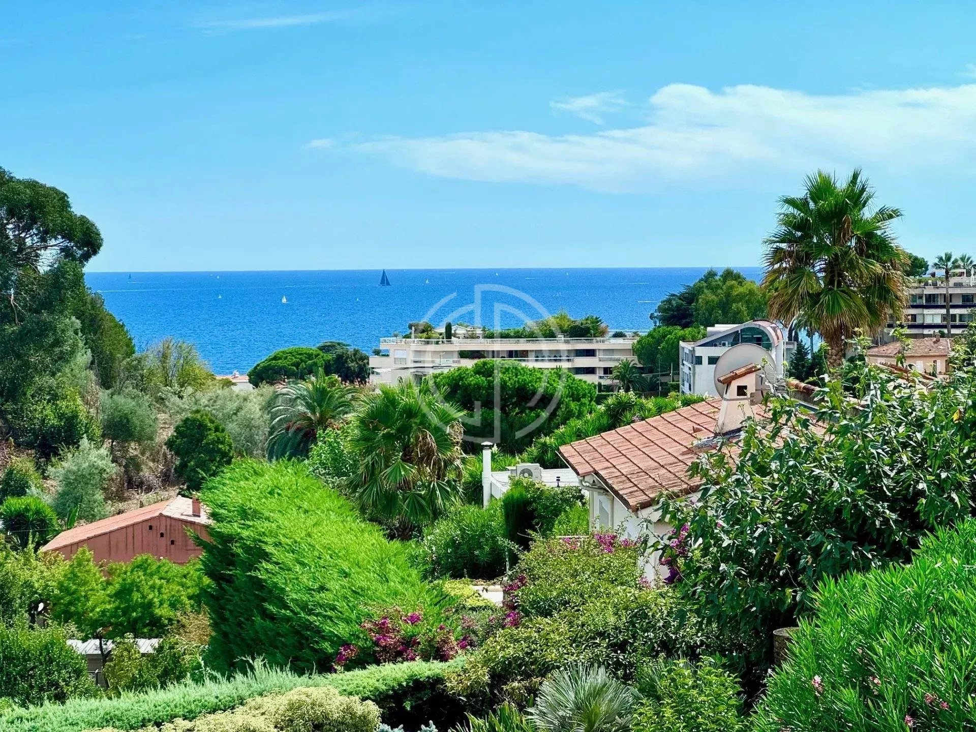 Agence immobilière de Collection d'Azur