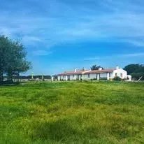 Exceptional Equestrian Estate – Odemira, South West Alentejo 86739800 image 23