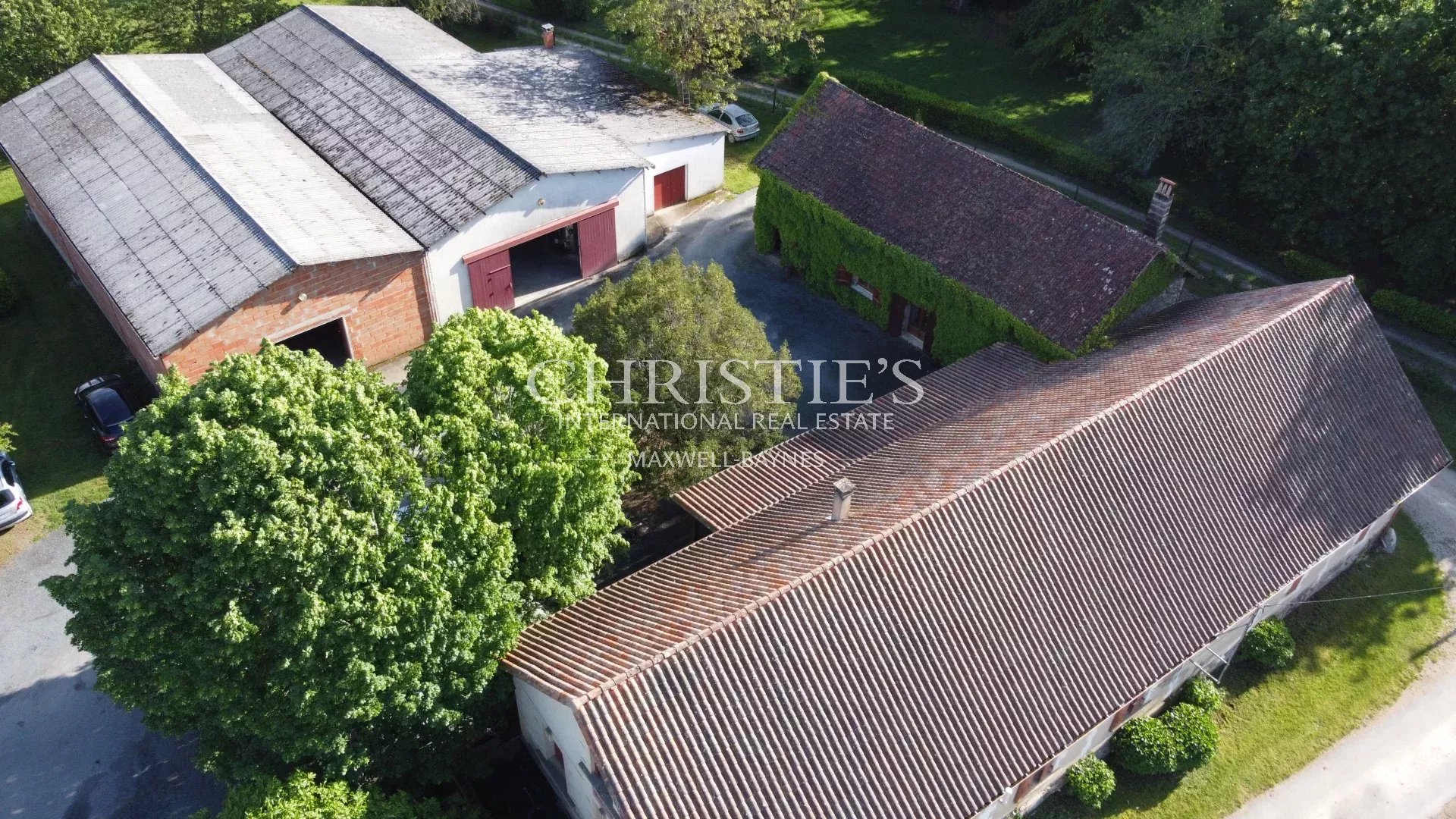 Vineyard's Image 5