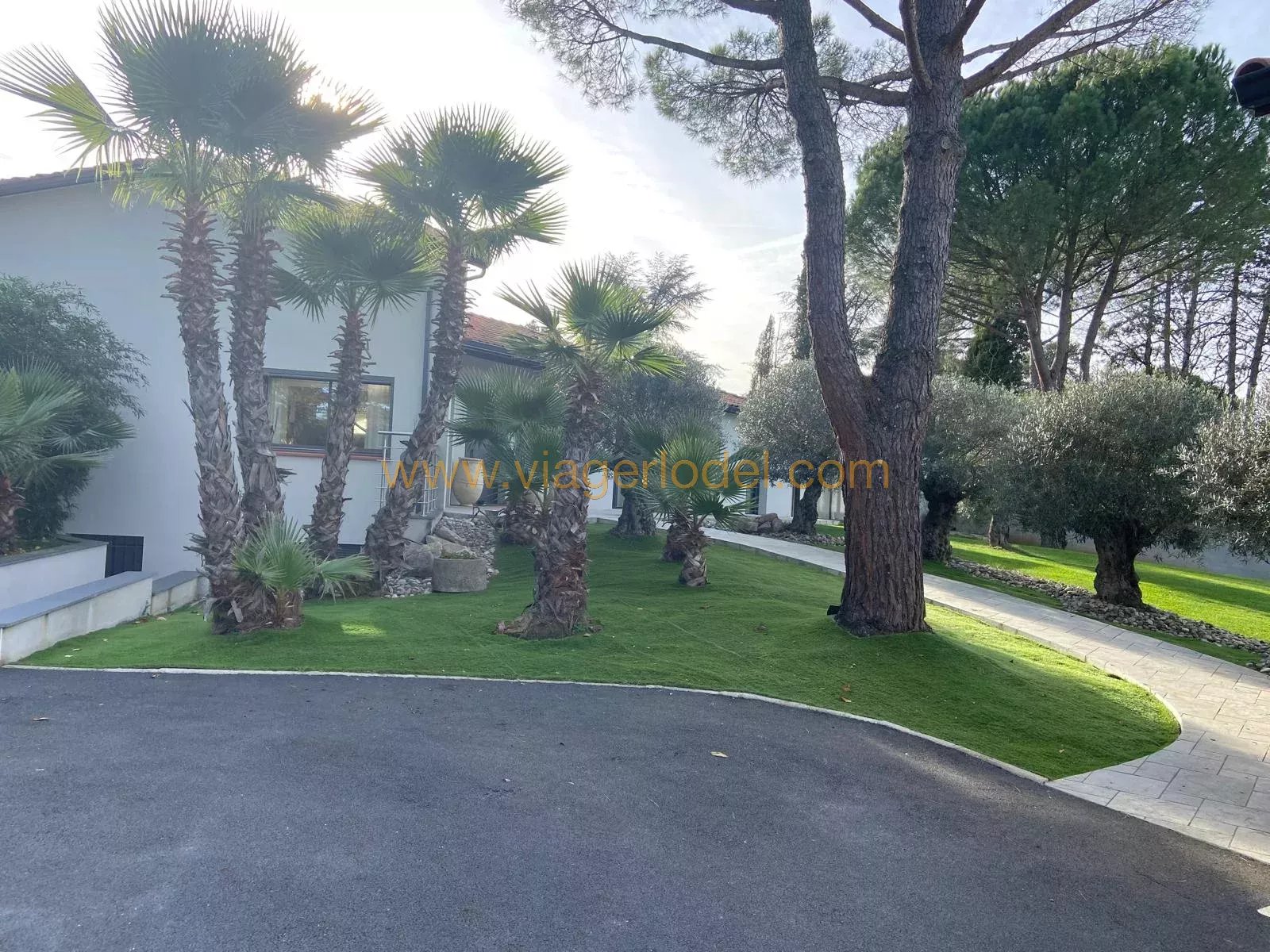 Albi 81000 – Viager Maison/Villa 5 pièces 2 chambres