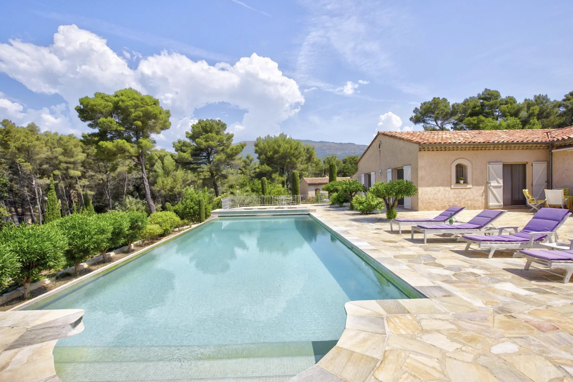 Magnificent property - Cabris