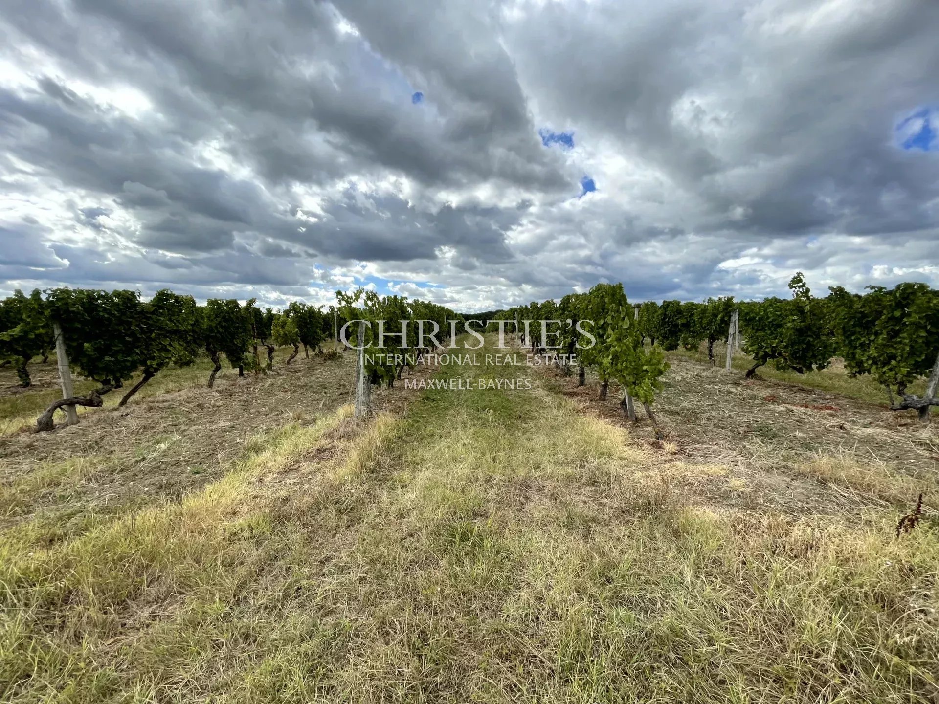 2 Bedroom Vineyard's Image 5