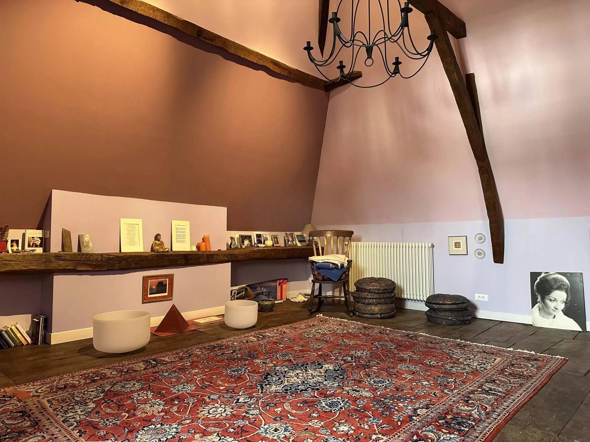 Maison 400m² de Maître sur 2 hectares - Sauveterre-de-Béarn (64390)
