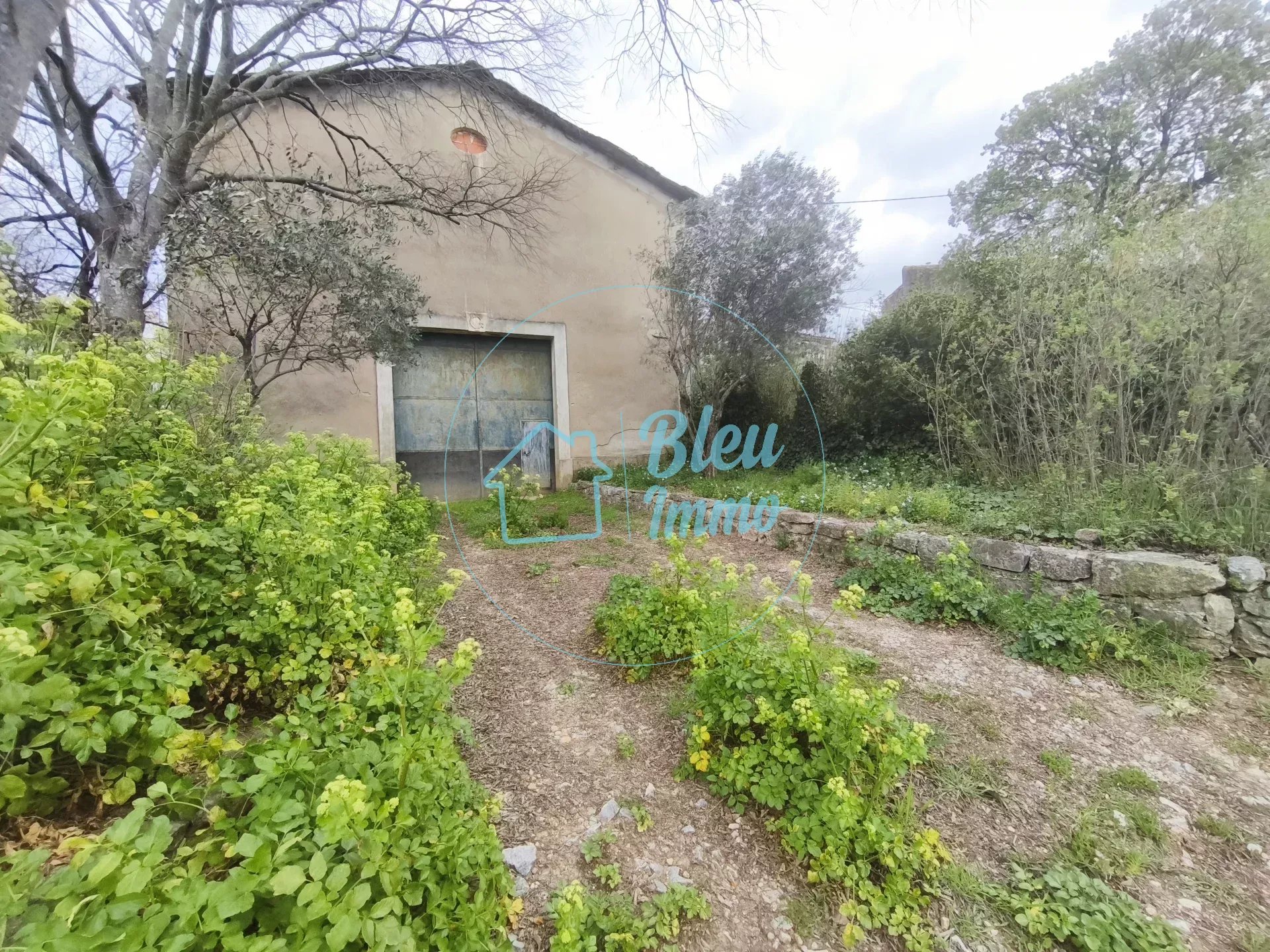 Agence immobilière de Bleu Immo