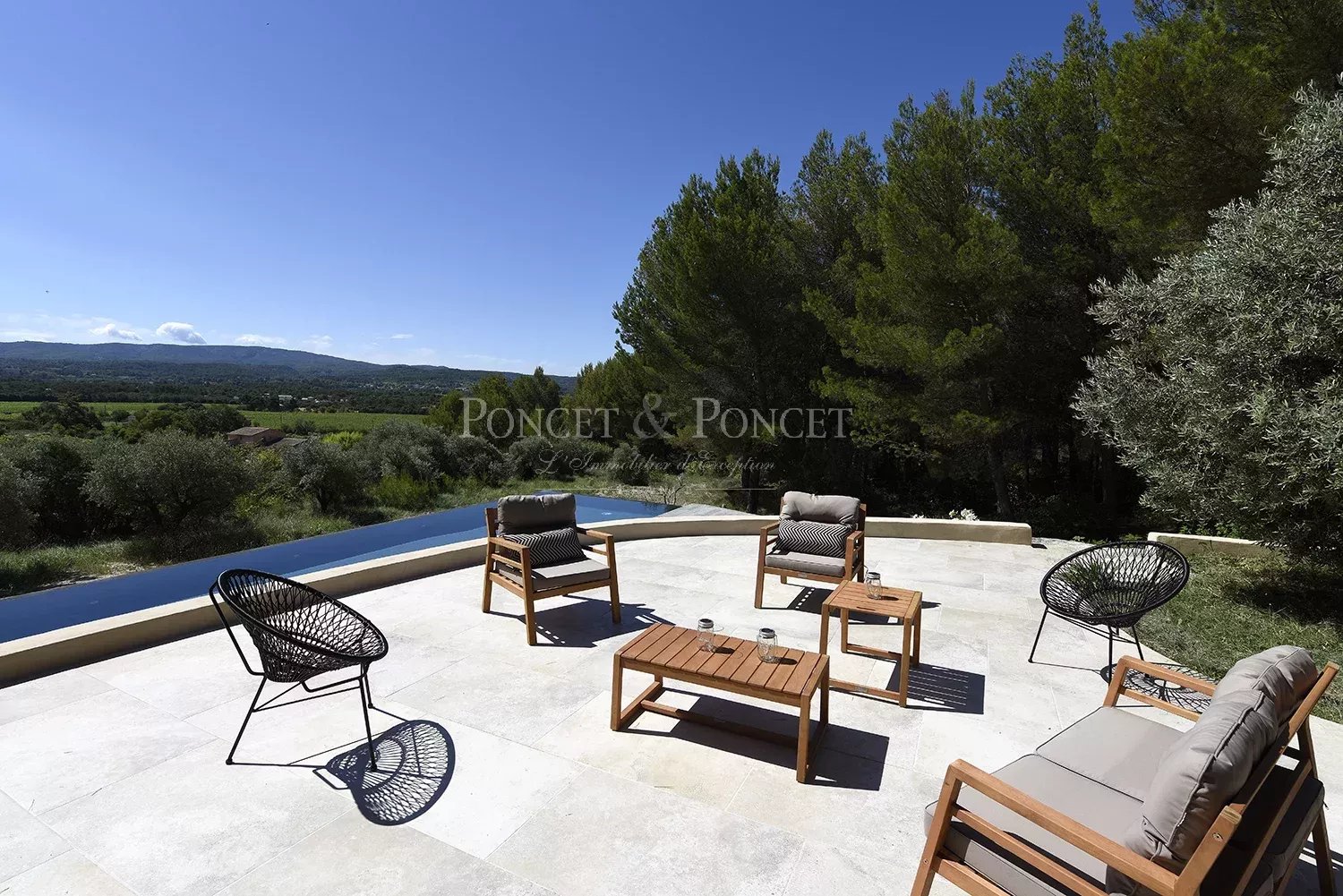 Vineyard's Image 5