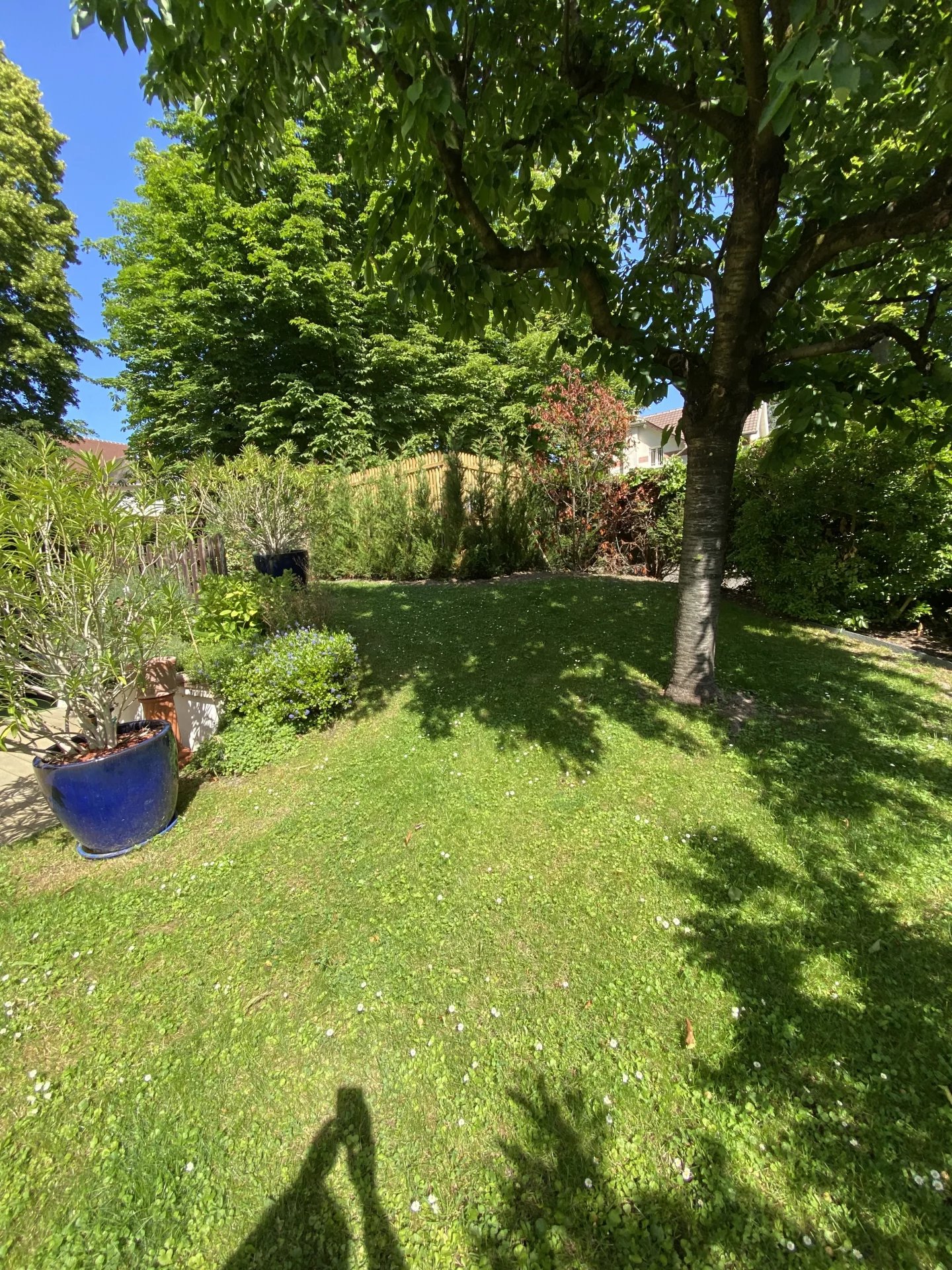 Vente Appartement Saint-Germain-en-Laye