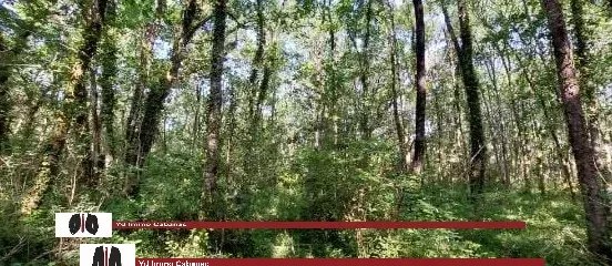 Agence immobilière de YD Immo