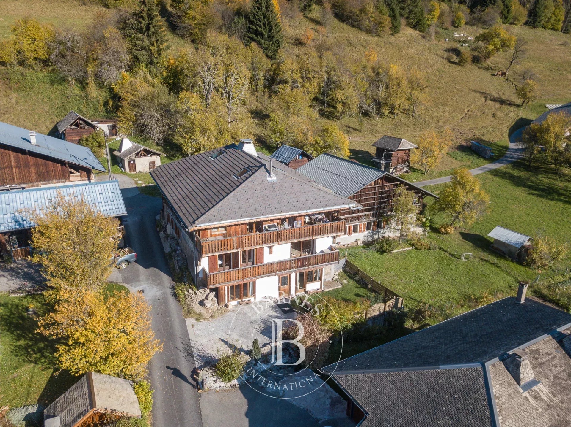 Chalet Morzine  -  ref 86621610 (picture 2)