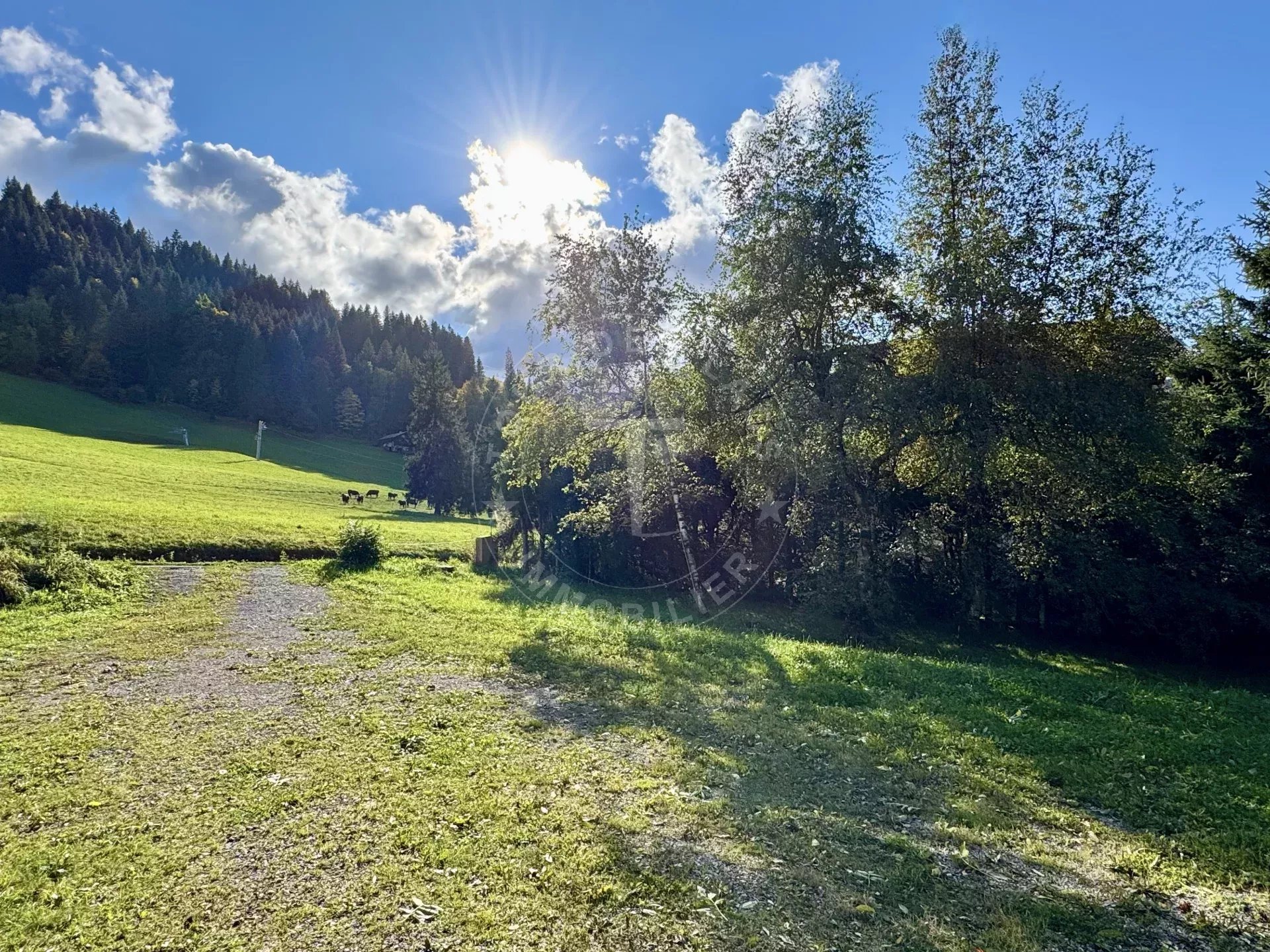 Chalet neuf à vendre à La Clusaz