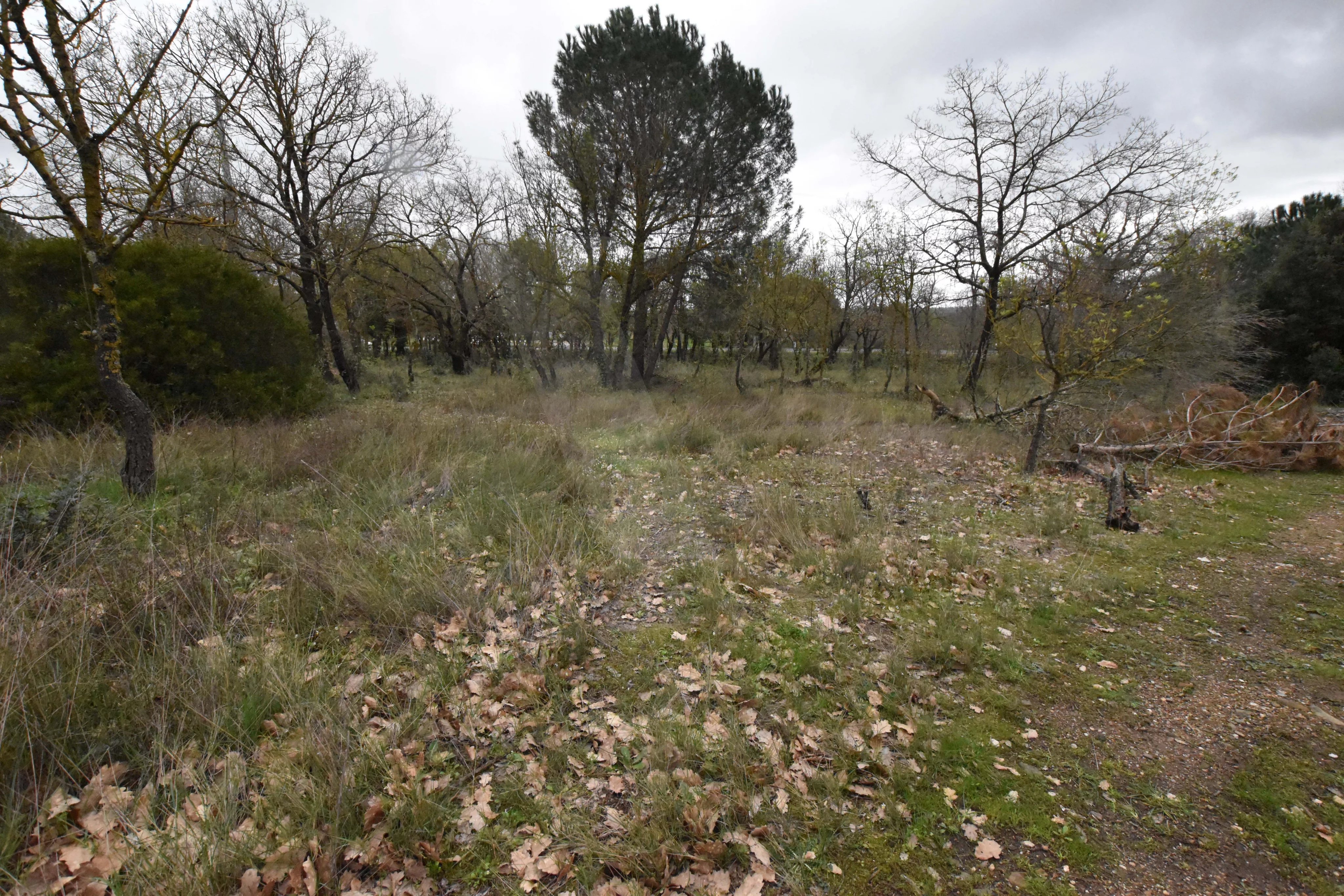 Terrain à vendre à MARAUSSAN - Photo 2