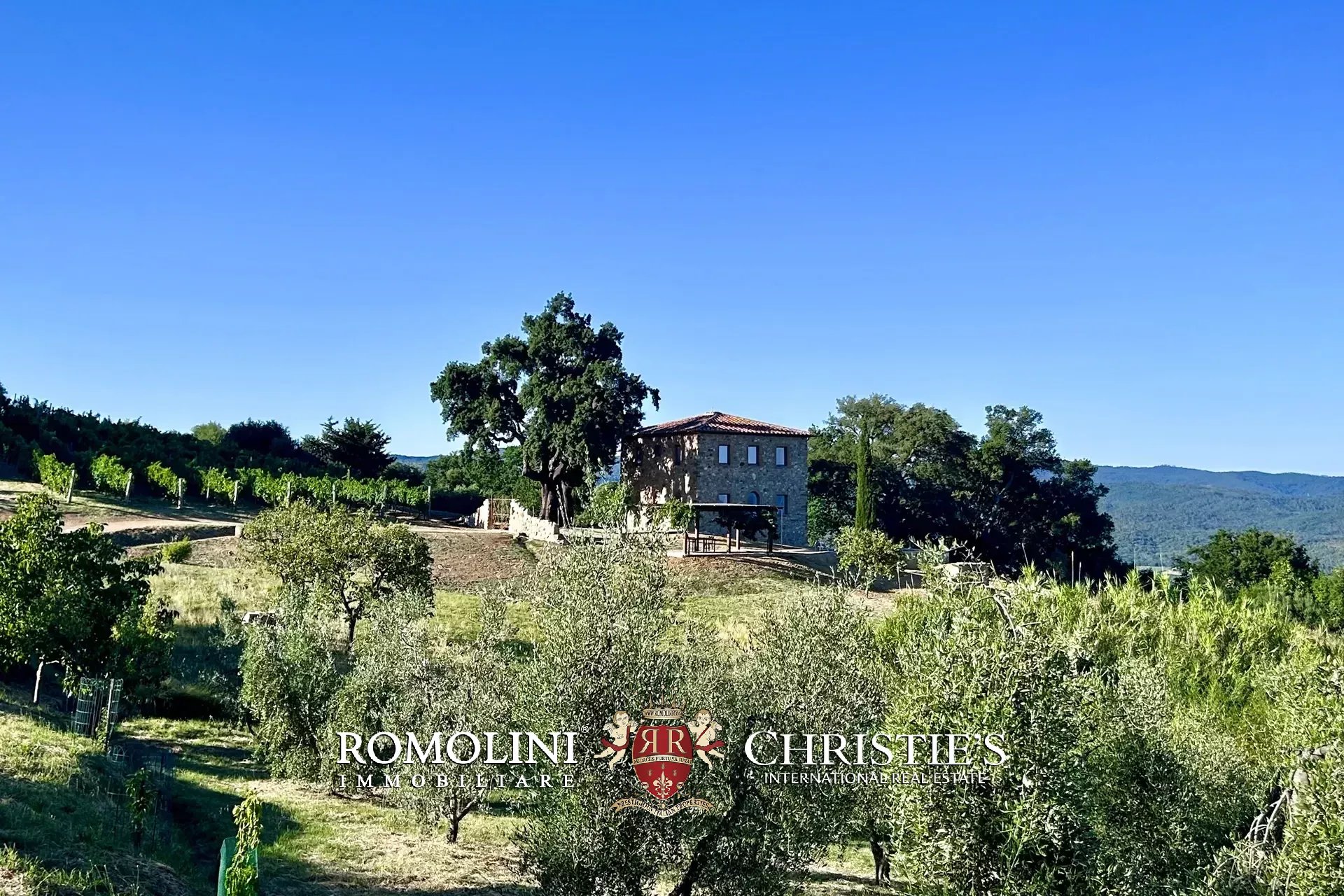 Property Slider Image