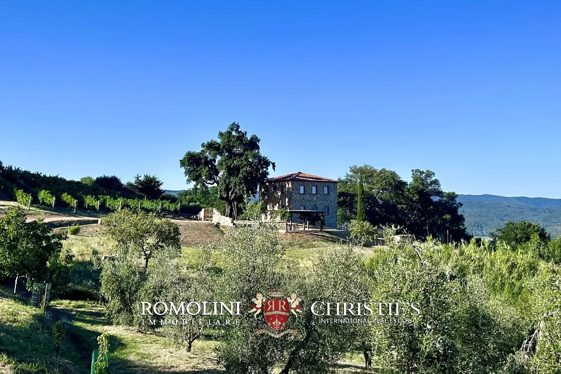 Property Slider Image