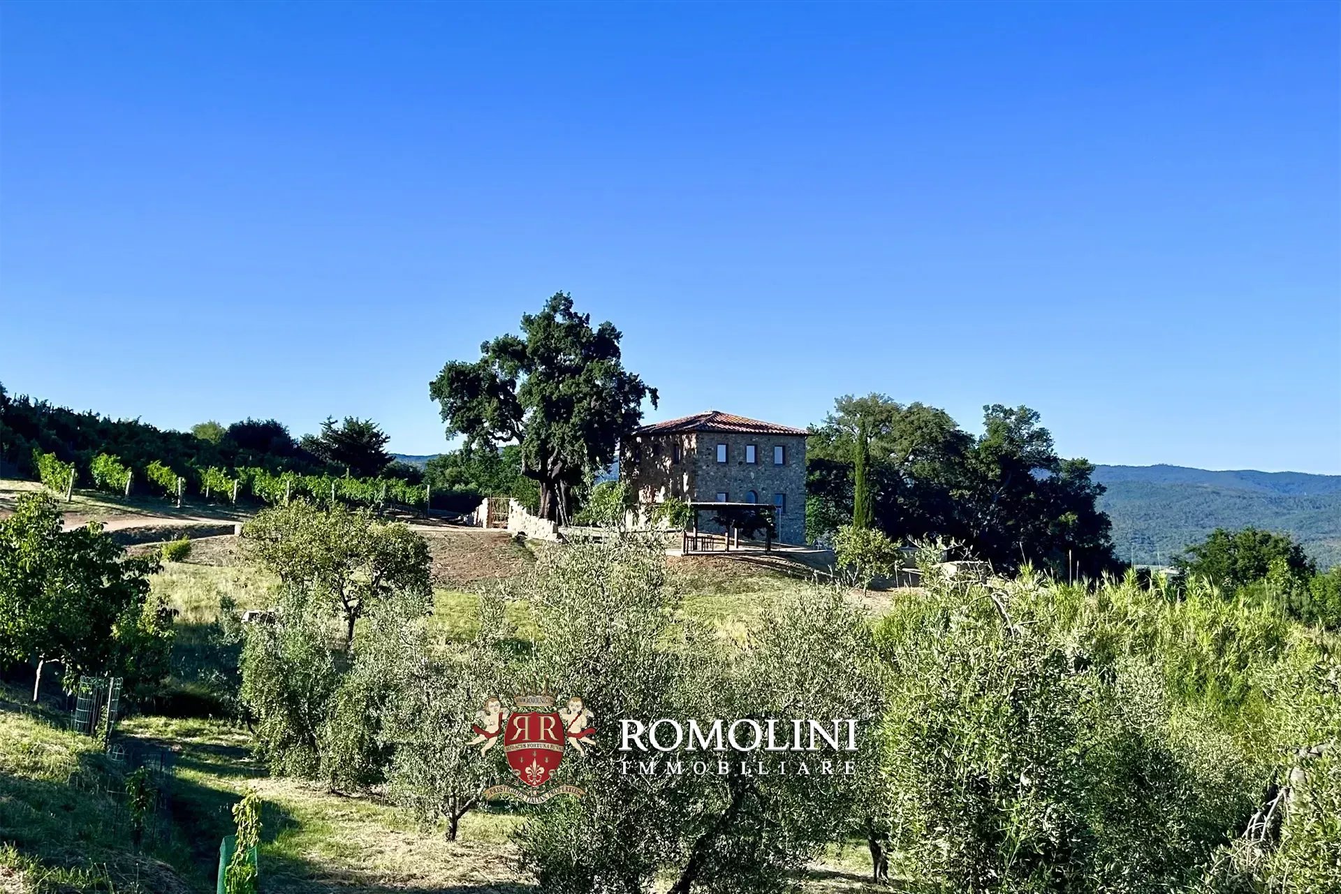 Property Slider Image