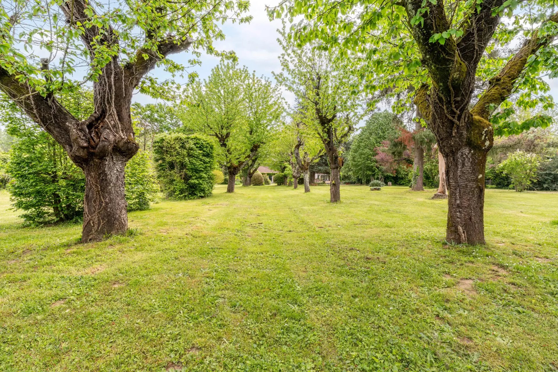 Propriété de 240 m² à Lucenay avec piscine et parc