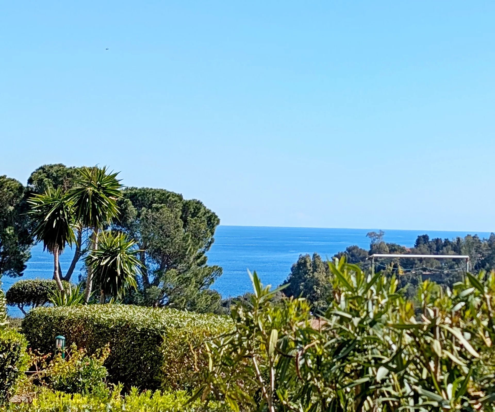 Agence immobilière de Azzurra Immobilier