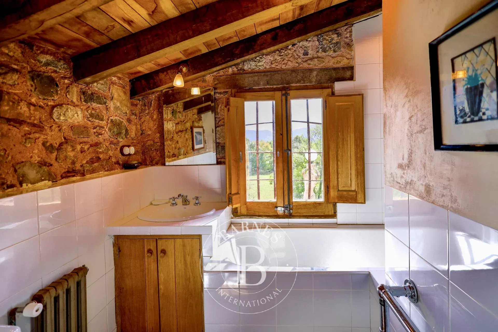 Çiftlik Camprodón - picture 11