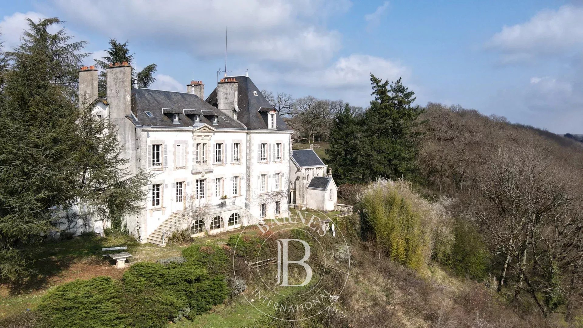 Saint-Gaultier  - Château 15 Pi&egrave;ces 7 Chambres - picture 4