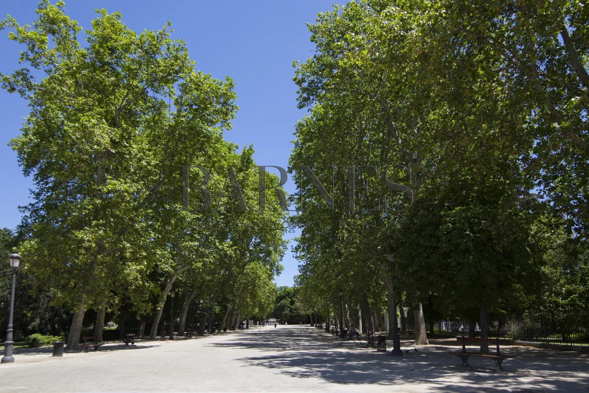 Daire Madrid - picture 32